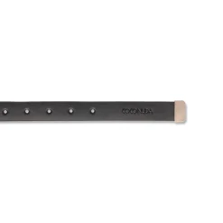 Cintura da Donna in Pelle Nera Elegante con Fibbia Oro Coconuda
