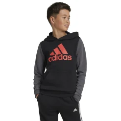 Felpa bambino con cappuccio Essentials Big Logo Colorblock