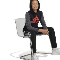 Felpa bambino con cappuccio Essentials Big Logo Colorblock