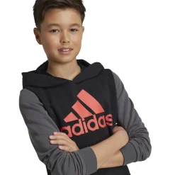 Felpa bambino con cappuccio Essentials Big Logo Colorblock