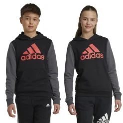 Felpa bambino con cappuccio Essentials Big Logo Colorblock