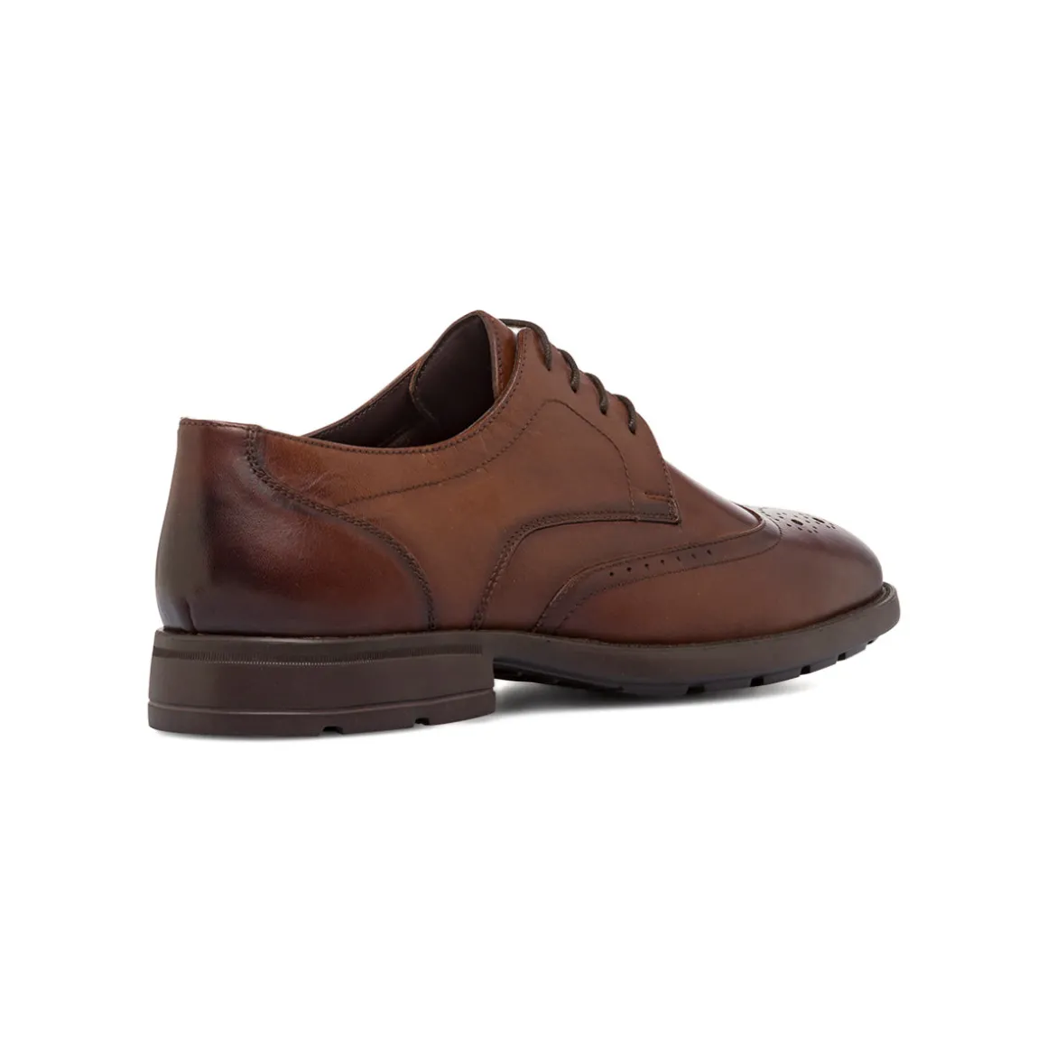 Scarpe Derby Marroni da Uomo con lavorazione Brogue Primopiano