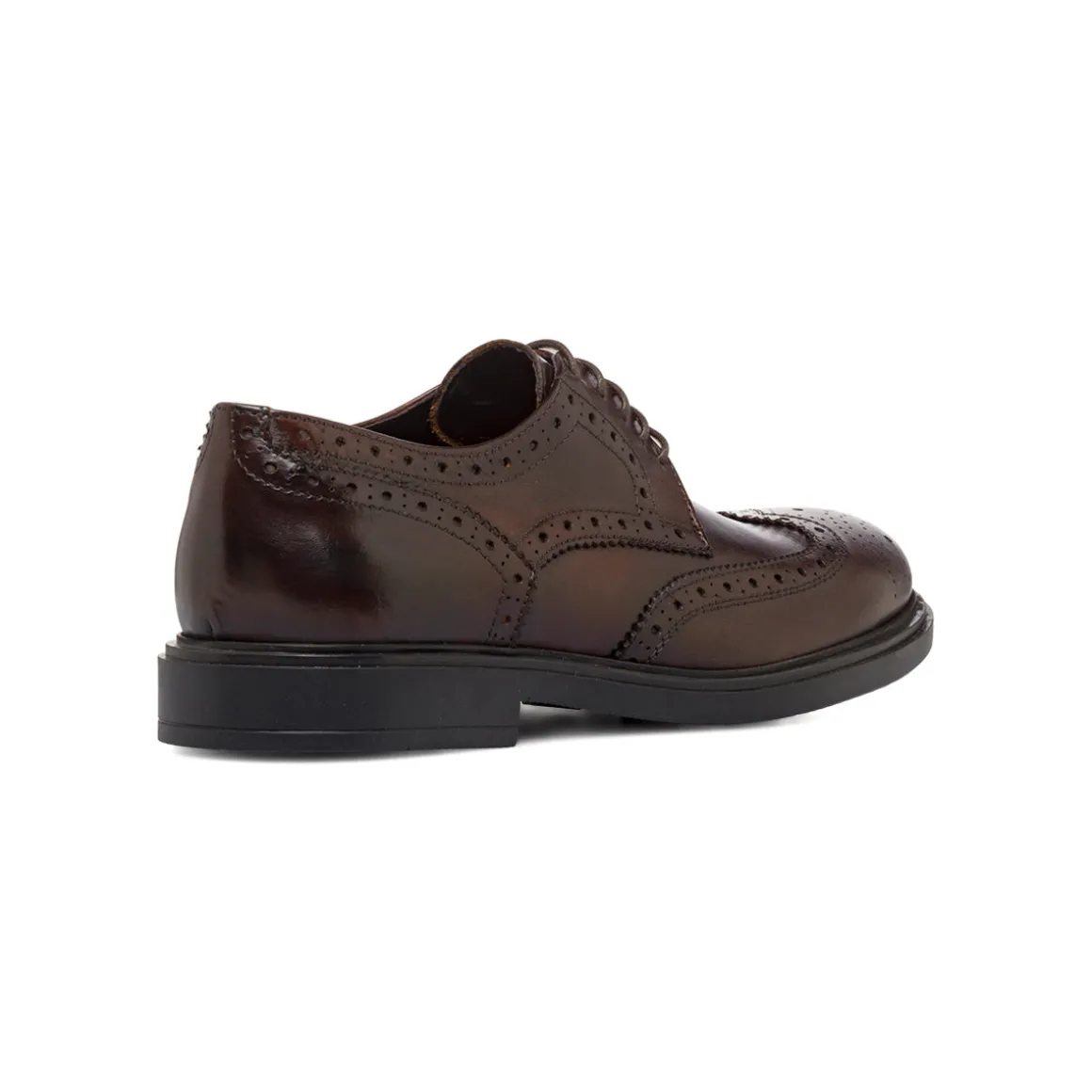 Stringate Derby marroni da Uomo in Pelle con inserti Brogue Primopiano