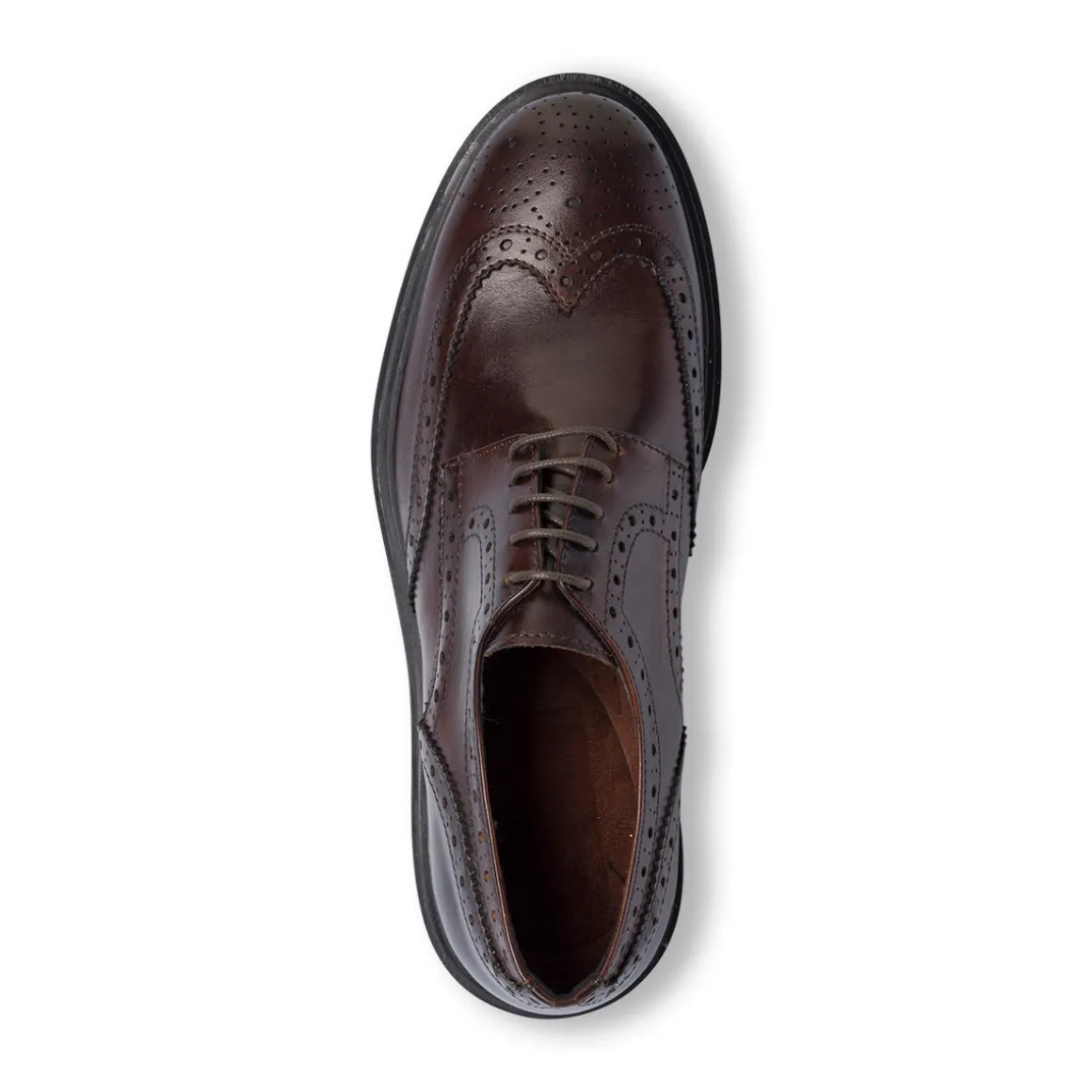 Stringate Derby marroni da Uomo in Pelle con inserti Brogue Primopiano