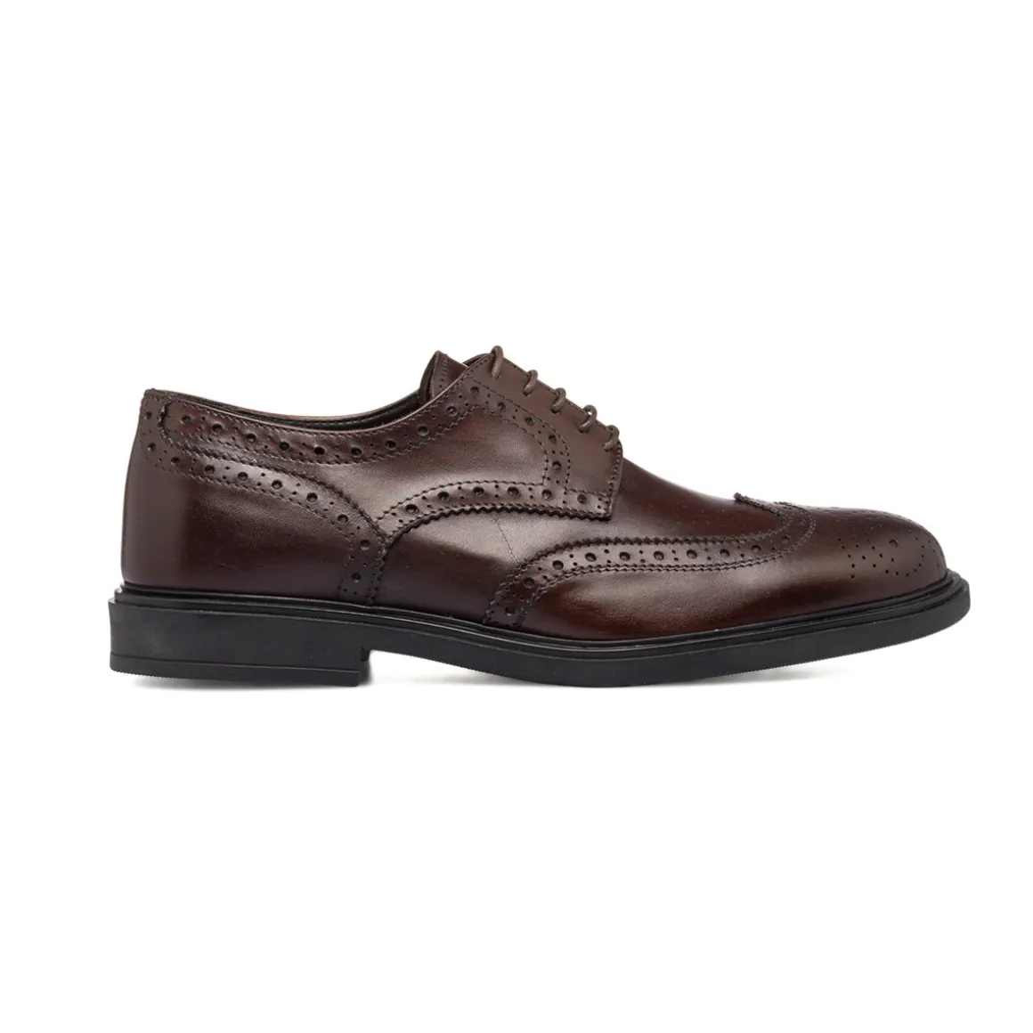 Stringate eleganti derby marroni da uomo in pelle con dettagli brogue Primopiano