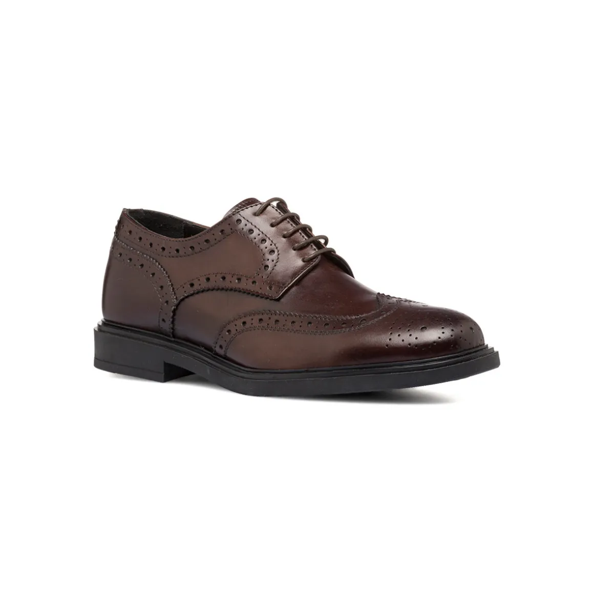 Stringate eleganti derby marroni da uomo in pelle con dettagli brogue Primopiano