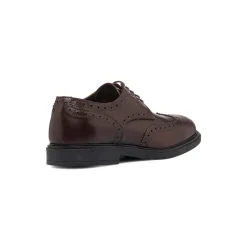 Stringate eleganti derby marroni da uomo in pelle con dettagli brogue Primopiano