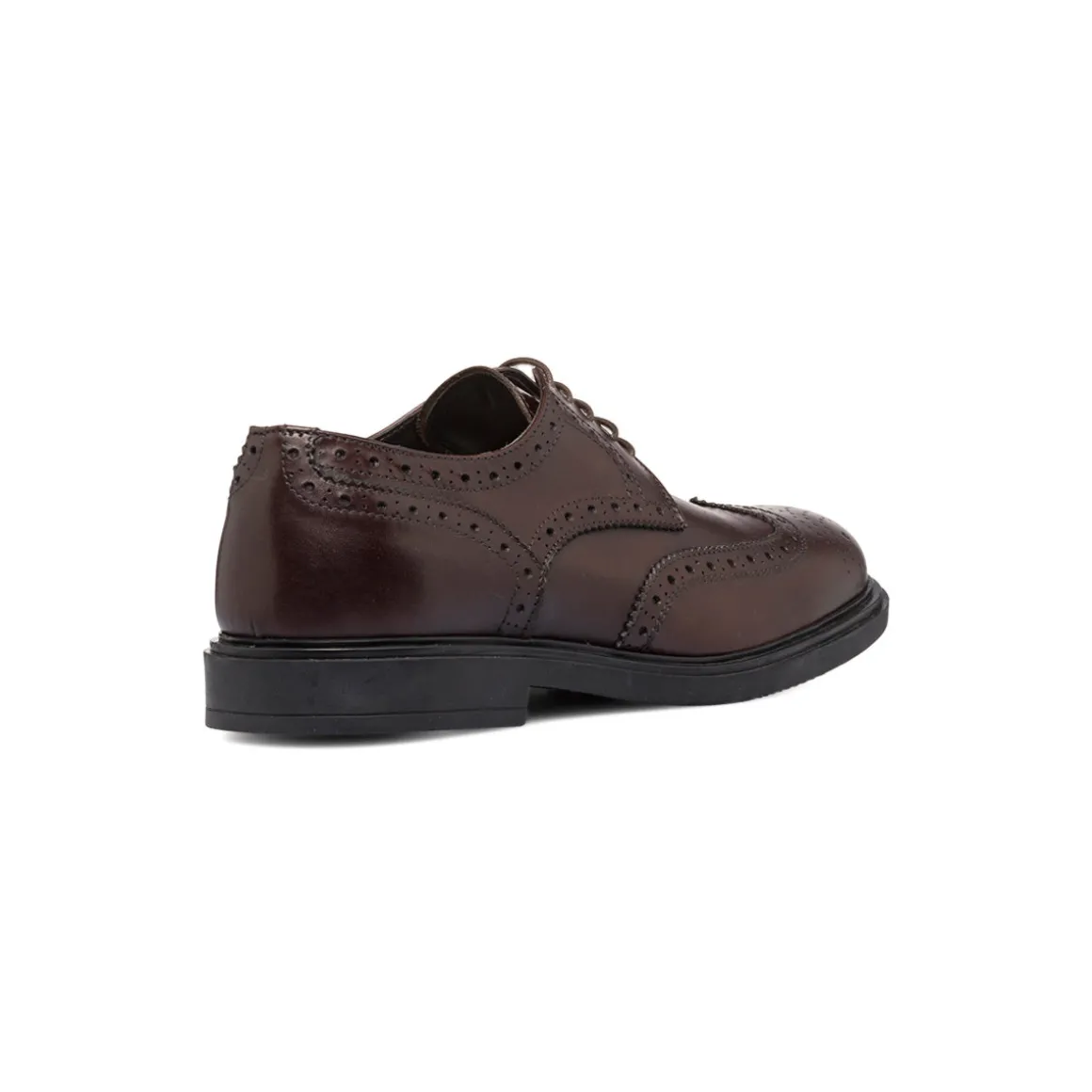 Stringate eleganti derby marroni da uomo in pelle con dettagli brogue Primopiano