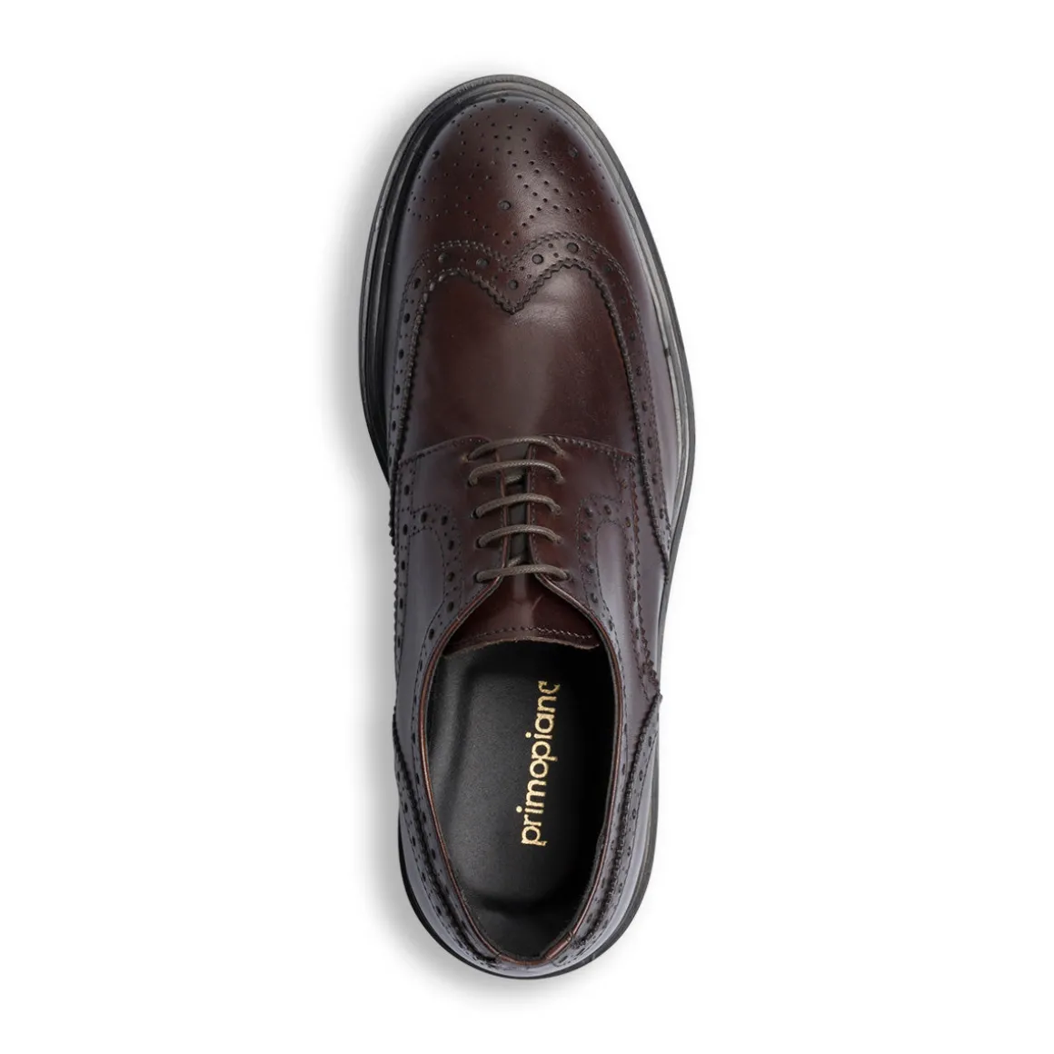 Stringate eleganti derby marroni da uomo in pelle con dettagli brogue Primopiano